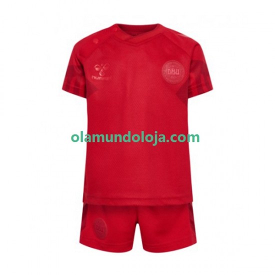 Camisola Dinamarca Criança Equipamento Primeiro Copa do Mundo 2022 Manga Curta